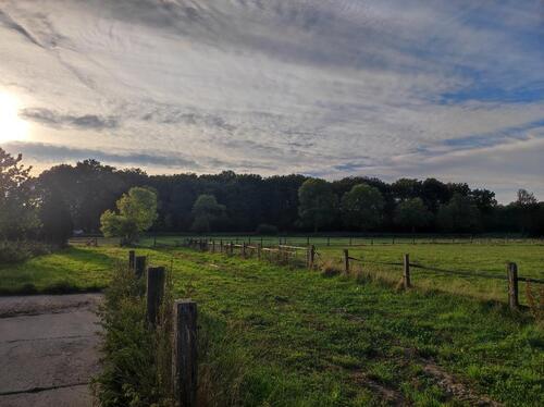 Foto - Grundstück in Raesfeld