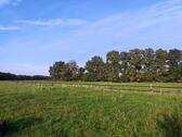Foto - Grundstück in Raesfeld zur Miete
