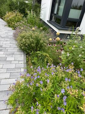 Foto - 2 Zimmer Etagenwohnung in Falkensee