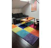 Schöne Wohnung in der Mainzer Neustadt zur Zwischenmiete (1Jahr)