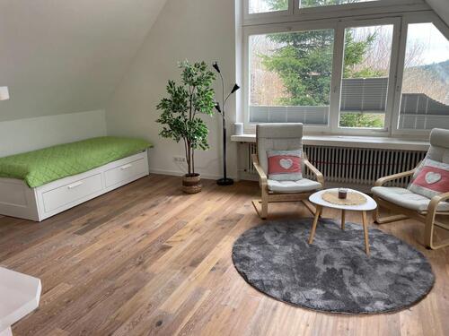 Foto - 1 Zimmer Etagenwohnung zur Miete in Feldberg (Schwarzwald)