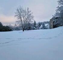 Tolle kleine Eigentumswohnung Provisionsfrei - Winterberg