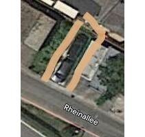 Parkplatz Rheinallee Lorch am Rhein Ortsteil Lorchhausen - Oestrich-Winkel