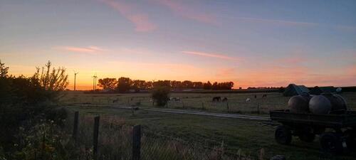 Foto - andere in Velten zur Miete