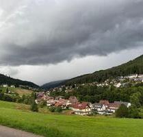 Schöne 54qm Wohnung in Tonbach - 650,00 EUR Kaltmiete, in Baiersbronn (PLZ: 72270)