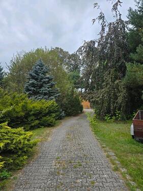 Foto - Einfamilienhaus in Döbern zum Kaufen