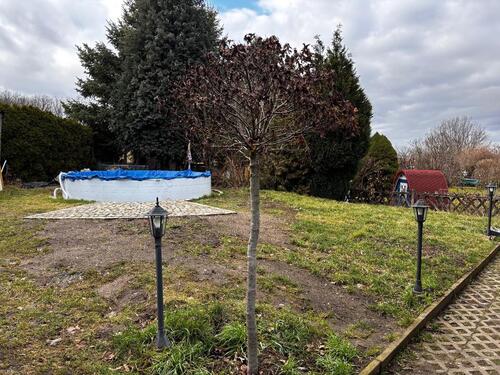 Foto - 2 Zimmer Einfamilienhaus zum Kaufen in Meißen