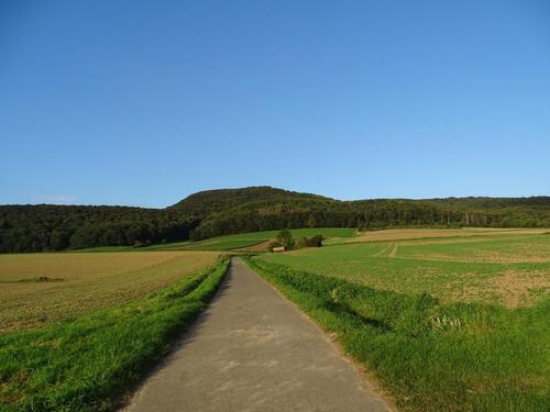 Foto - Einfamilienhaus in Hessisch Oldendorf zum Kaufen