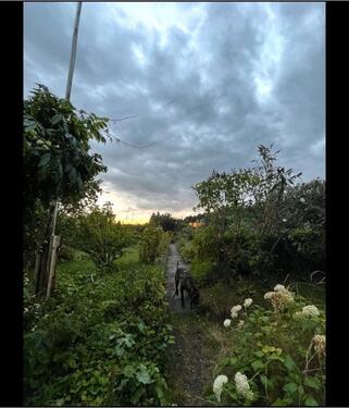 Foto - Grundstück in Bad Schwartau