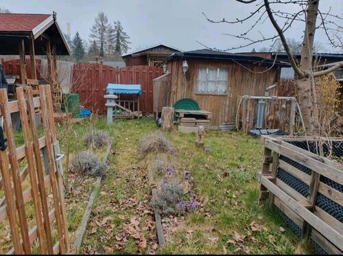 Foto - schöner Garten in Schloßchemnitz