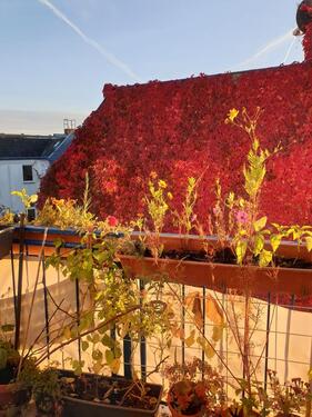 Foto - 3 Zimmer Dachgeschoßwohnung in Berlin