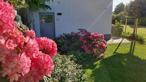 Foto - andere in Zschopau