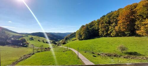 Foto - Mietwohnung 3ZKB 70qm in 77796 Mühlenbach