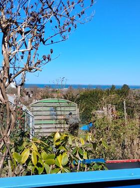 Foto - Pachtgarten Kleingarten mit Ostseeblick gegen Abstand abzugeben