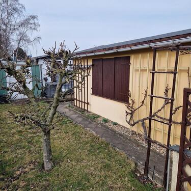 Foto - Grundst&uuml;ck in Stauchitz zur Miete