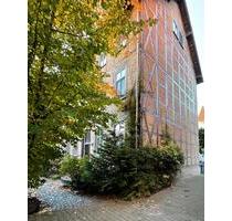 Gemütliche 1-Zimmer-Wohnung am Prinzenpark - Braunschweig Wabe-Schunter-Beberbach