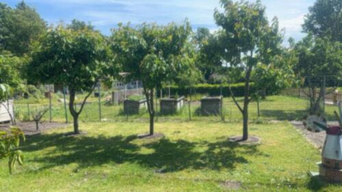 Foto - Grundst&uuml;ck in Heide zur Miete