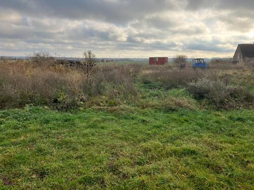 Foto - Grundstück in Penzlin zur Miete
