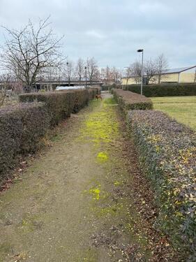 Foto - Grundst&uuml;ck in Rackwitz zur Miete