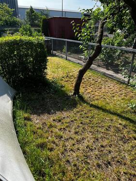 Foto - Grundstück in Dessau-Roßlau zur Miete