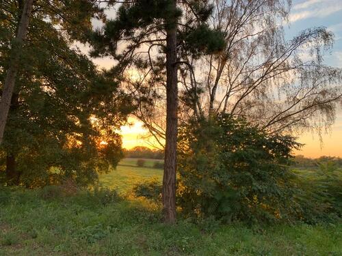 Foto - 1000m² Haus Halle Hobby Gewerbe Tierhaltung 7000m² Grundstück