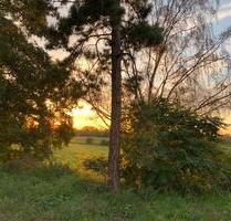 1000m² Haus Halle Hobby Gewerbe Tierhaltung 7000m² Grundstück - Leese