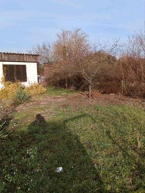 Foto - Grundst&uuml;ck zur Miete in Eilenburg