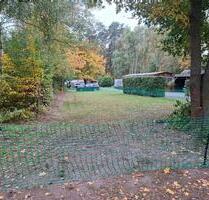 Pachtgrundstück mit Erstwohnsitz in Colbitz - Torgau