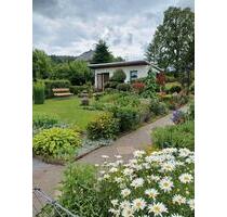 Pachtgarten in Wilthen - 4.000,00&nbsp;EUR Kaltmiete, ca.&nbsp; 0,00&nbsp;m&sup2; in Schirgiswalde-Kirschau (PLZ: 02681)