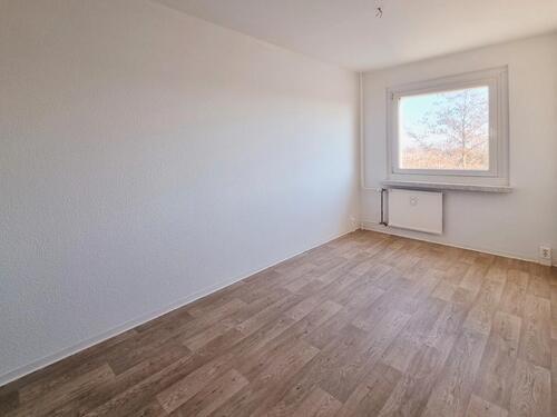 Foto - Etagenwohnung in Dresden zur Miete