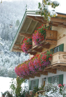 Foto - Sonnige Dachgeschosswohnung, Freizeitwohnsitz in Kitzbühel Tirol