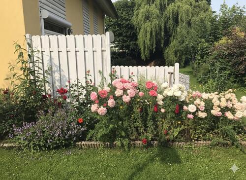Foto - Einfamilienhaus in Brunsbüttel zum Kaufen