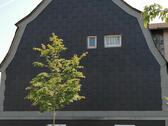 Foto - Mehrfamilienhaus, Wohnhaus zum Kaufen in Dickenschied