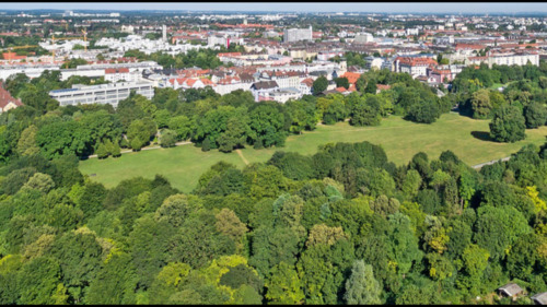 Foto - Helle 4-Zimmer-Frauen-WG 