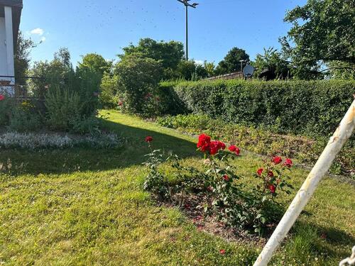 Foto - Grundst&uuml;ck in Freiberg zur Miete