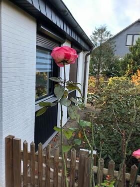 Foto - 6 Zimmer Einfamilienhaus zum Kaufen in Isernhagen