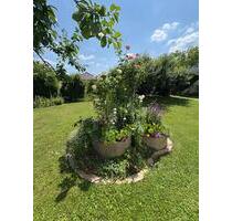 Nachmieter für DHH - 1.405,00&nbsp;EUR Kaltmiete, ca.&nbsp; 140,00&nbsp;m&sup2; in Dillingen an der Donau (PLZ: 89407)