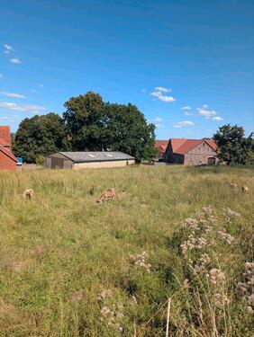 Foto - Einfamilienhaus zum Kaufen in Minden
