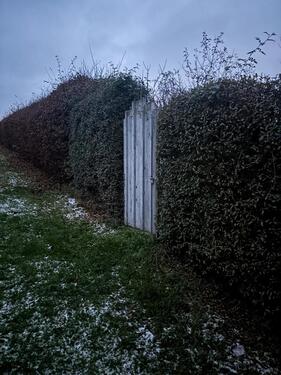 Foto - Grundst&uuml;ck in Nordhausen