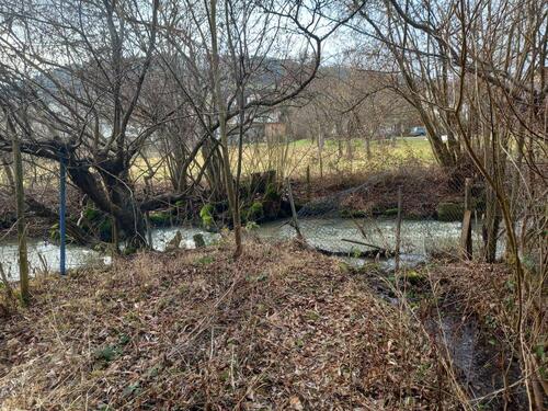 Foto - Einfamilienhaus in Boxberg zum Kaufen