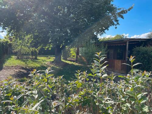 Foto - Grundstück in Neustadt an der Orla