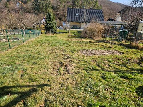 Foto - Pflanzbeet auf Gartengrundstück für Selbstversorger
