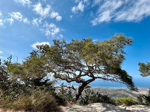 Foto - andere in Mainz zur Miete
