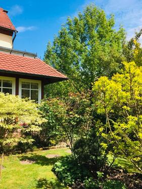 Foto - 14 Zimmer Einfamilienhaus zum Kaufen in Bischbrunn