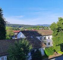 Neu renovierte Mietwohnung - 650,00&nbsp;EUR Kaltmiete, ca.&nbsp; 66,00&nbsp;m&sup2; in Regen (PLZ: 94209)