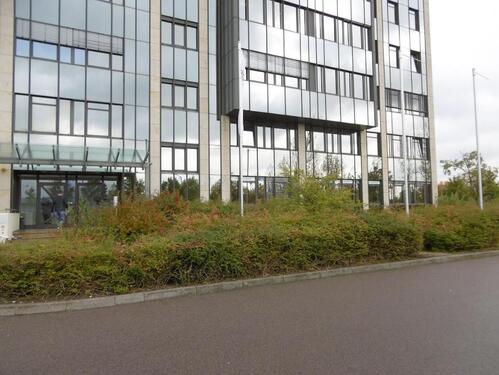Foto - Der Preis-Leistungs-Sieger im Sachsen Park; Top-Büro 8,59€m²kalt