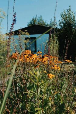 Foto - Naturnaher Garten in Greifswald KGV Fortschritt