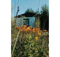 Naturnaher Garten in Greifswald KGV Fortschritt