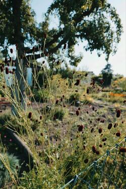 Foto - Grundstück in Greifswald