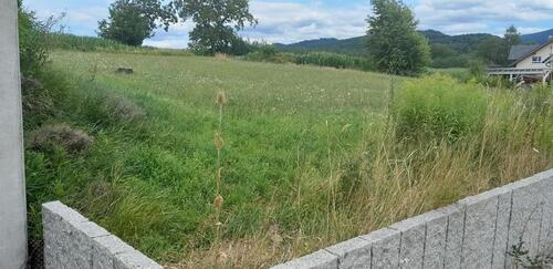 Foto - 2 Barrierefreie EigentumswohnungenWohneinheiten (Aufzug)